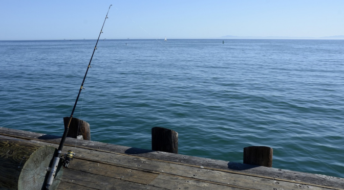 Meningkatkan Tingkat Keberhasilan Mancing dengan Joran Jigging